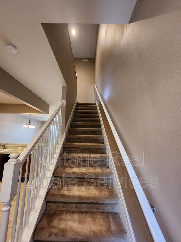 10130 Pink Palmata Ct property image