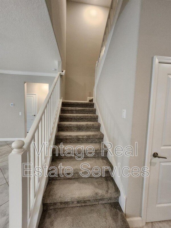 25188 Lambrusco Loop property image