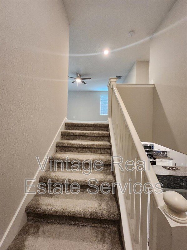 25188 Lambrusco Loop property image