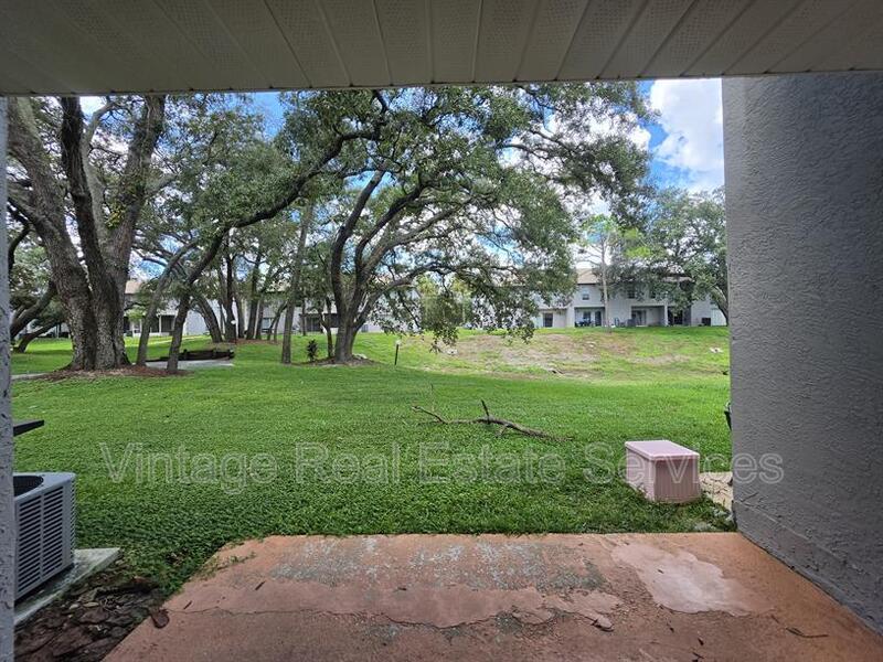 5194 Sunridge Palms Dr property image