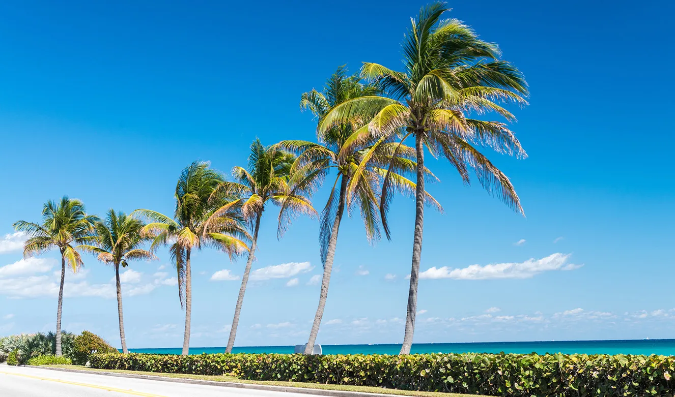 Apollo Beach Property Management